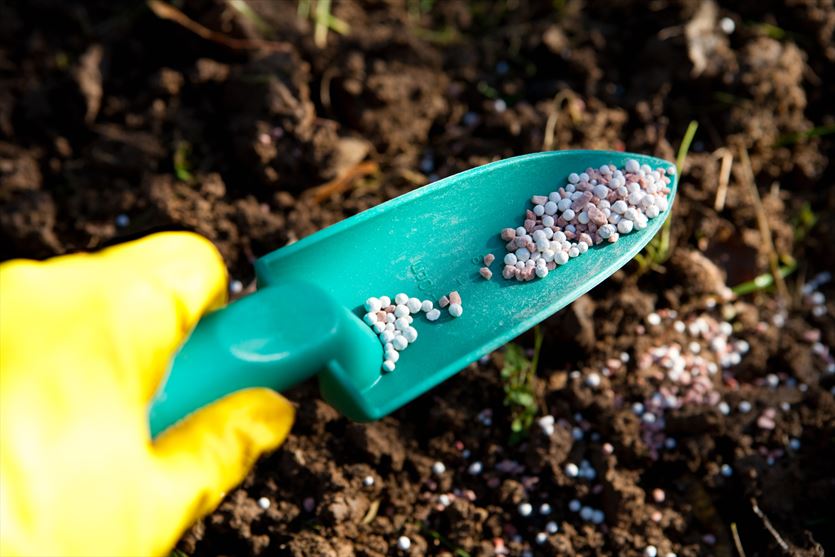 przyjazna Nawozy, Flormix Producent Nawozów i Oborników Ogrodniczych, Gorzów Wielkopolski